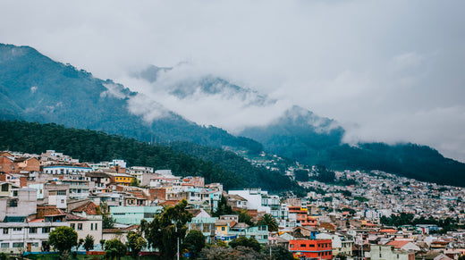 Quito : Une ville pittoresque et savoureuse