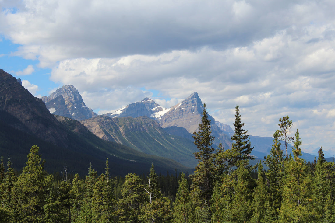 LES ROCHEUSES EN FAMILLE||FAMILY TRIP IN THE ROCKIES