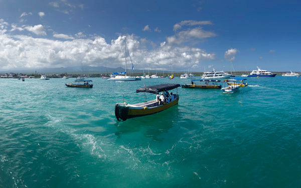 GALÁPAGOS : QUOI VOIR ET QUOI FAIRE