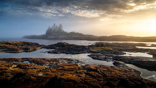 5 expériences incontournables pour découvrir la Côte-Nord